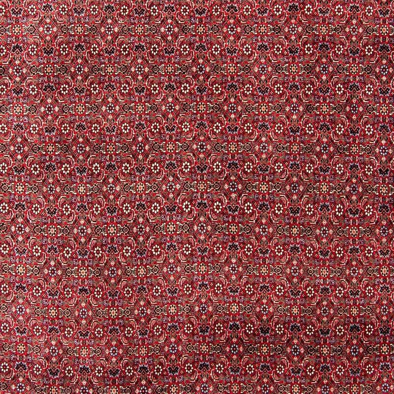 Tapis persan - Bidjar - 300 x 253 cm - rouge foncé