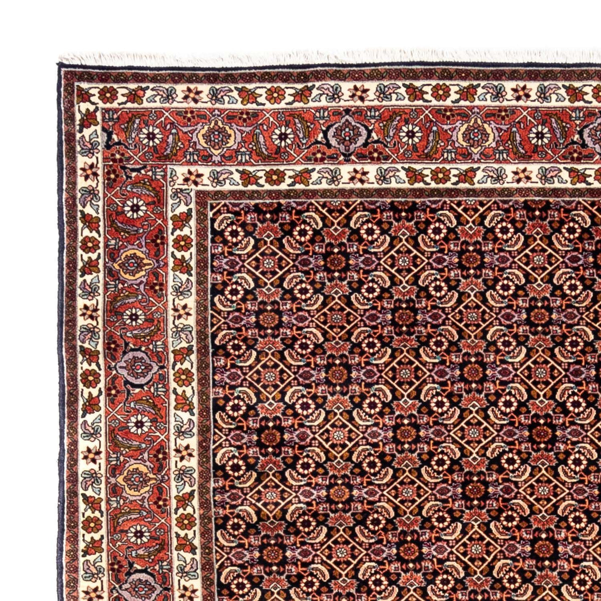 Tapis persan - Bidjar - 298 x 202 cm - noir