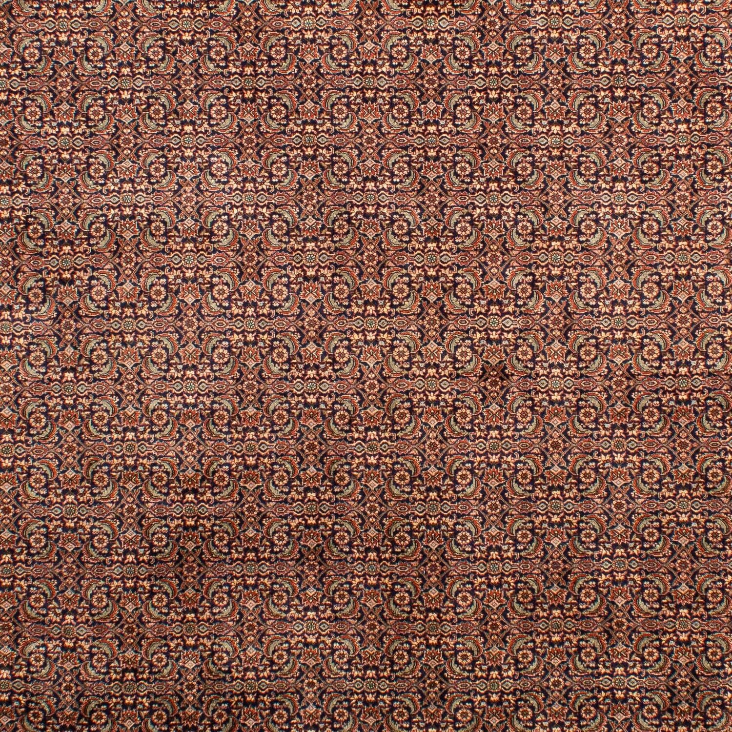 Tapis persan - Bidjar - 298 x 202 cm - multicolore