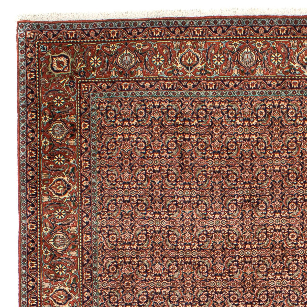 Tapis de Bidjar Tapis 202x298cm - Tapis persan