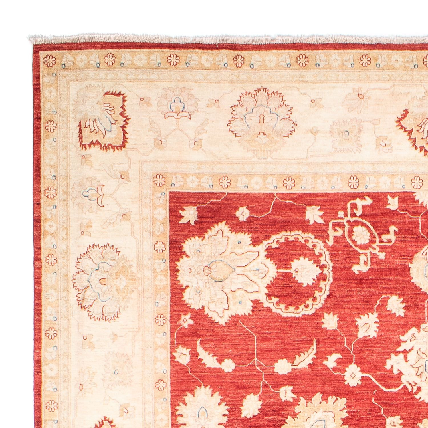 Tapis Ziegler - 310 x 243 cm - rouge