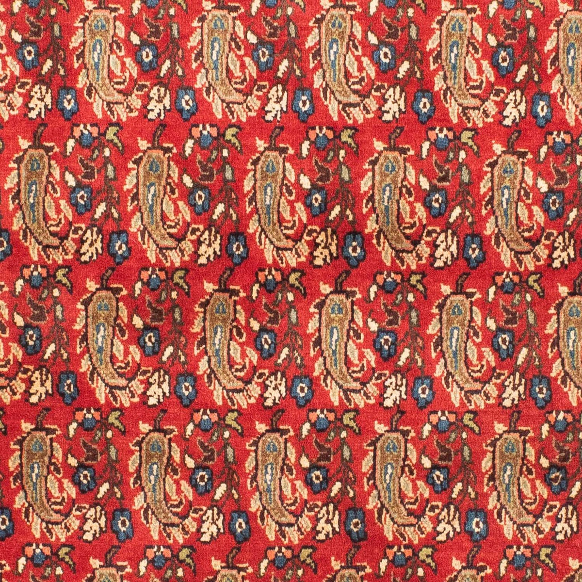 Tapis persan - Nomadic - 160 x 110 cm - rouge foncé