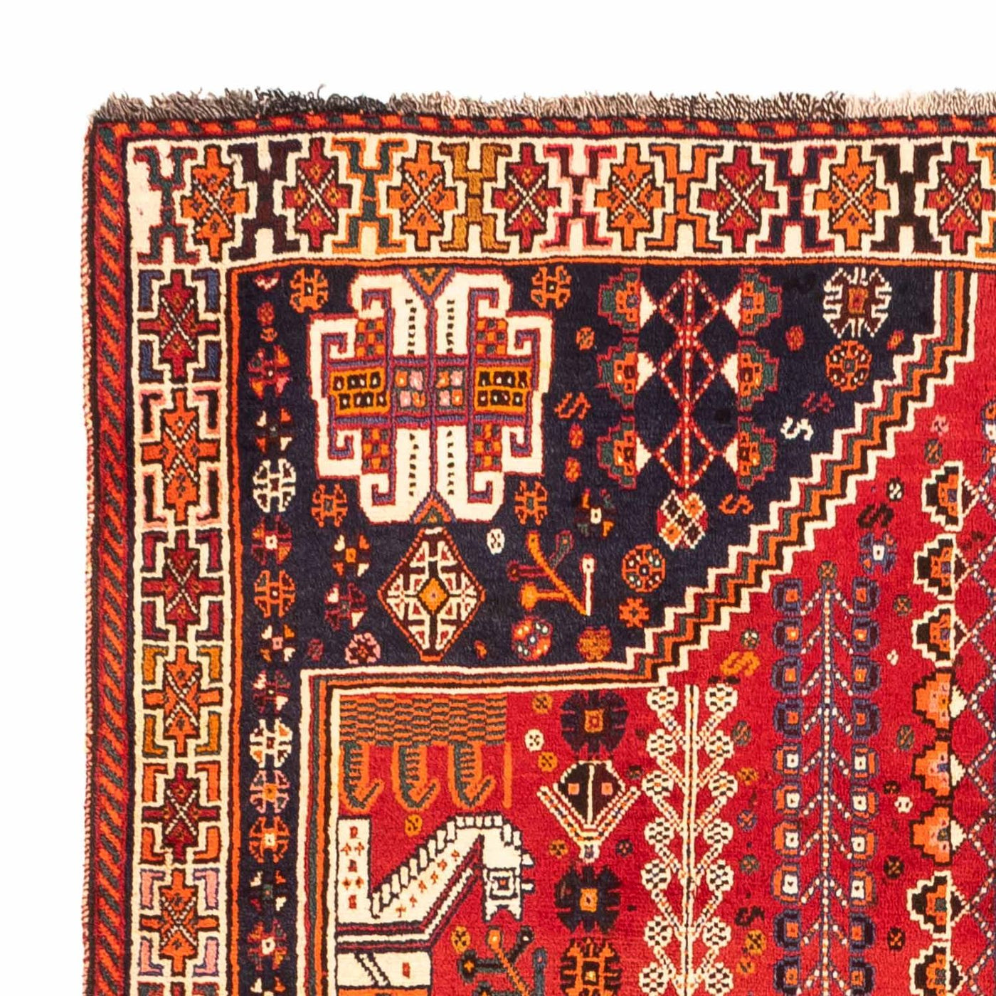 Tapis de Chiraz Tapis 255x160cm - Tapis persan