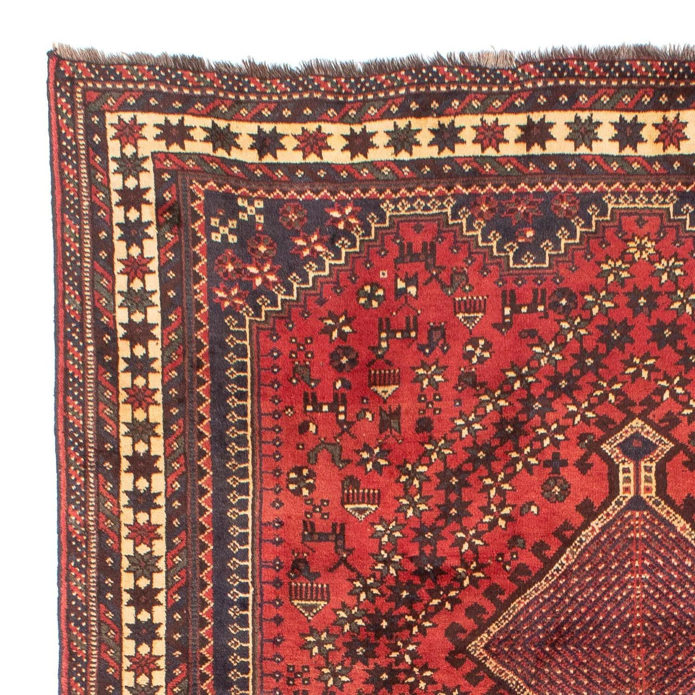 Tapis de Chiraz Tapis 290x205cm - Tapis persan