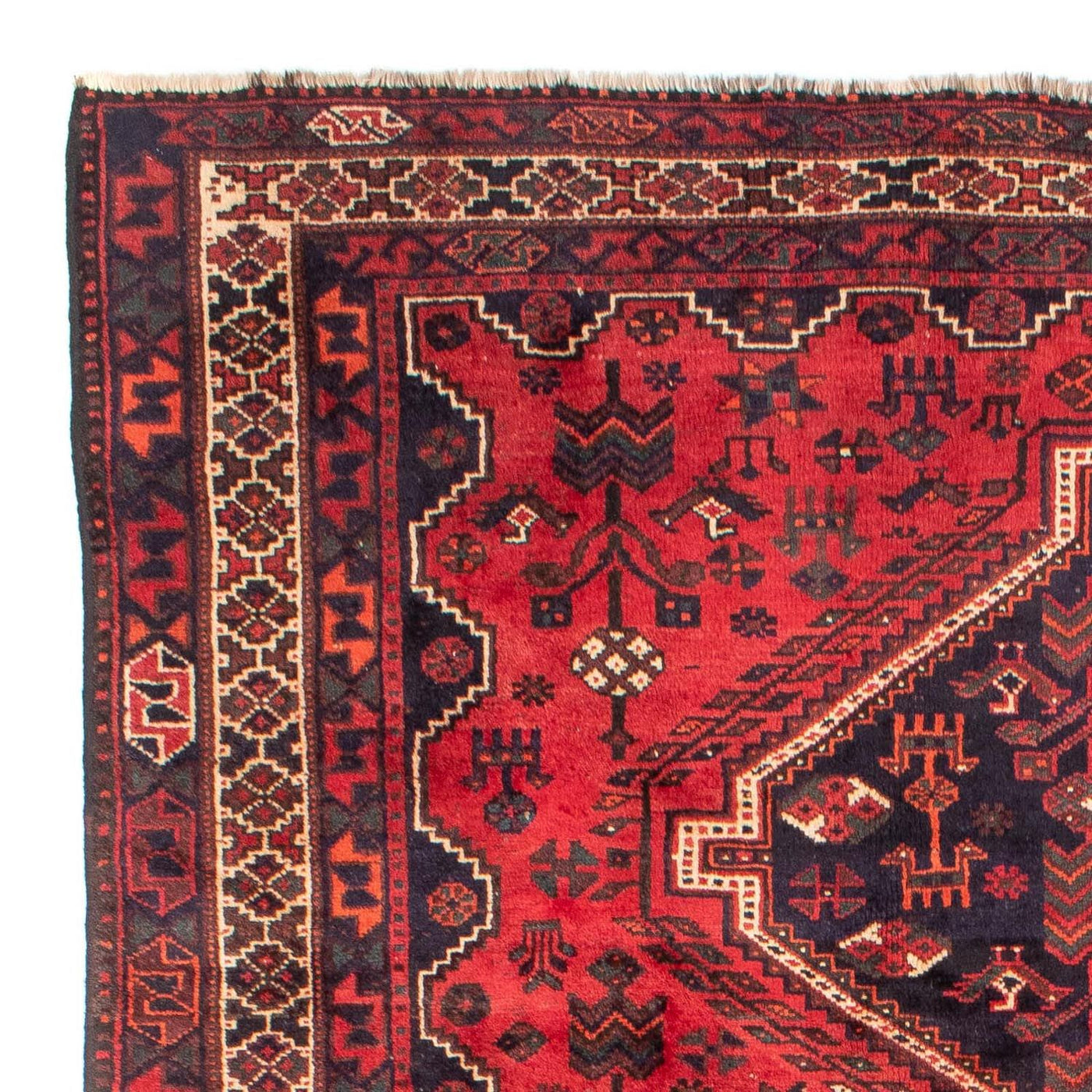 Tapis de Chiraz Tapis 305x215cm - Tapis persan