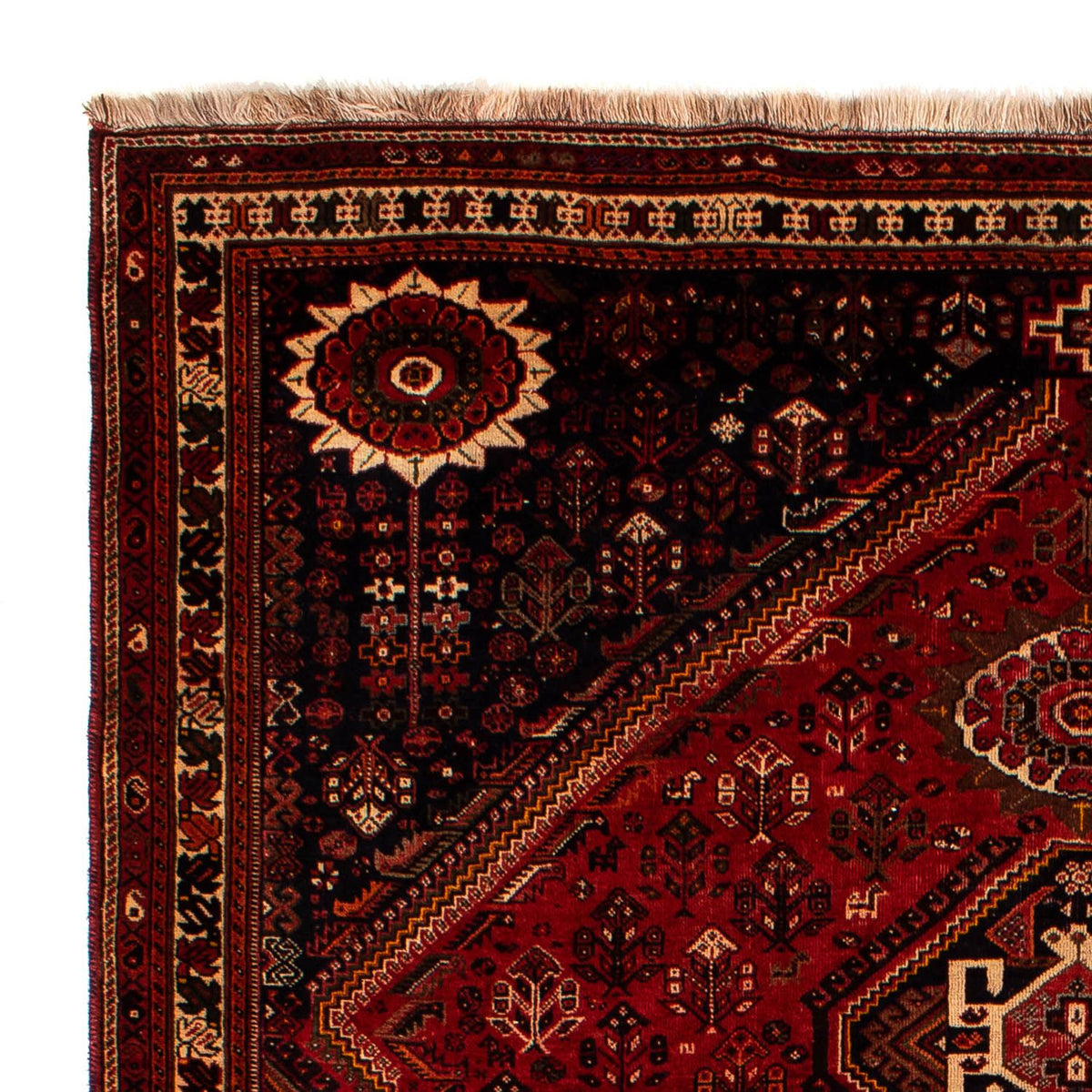 Tapis persan - Nomadic - 322 x 225 cm - rouge foncé
