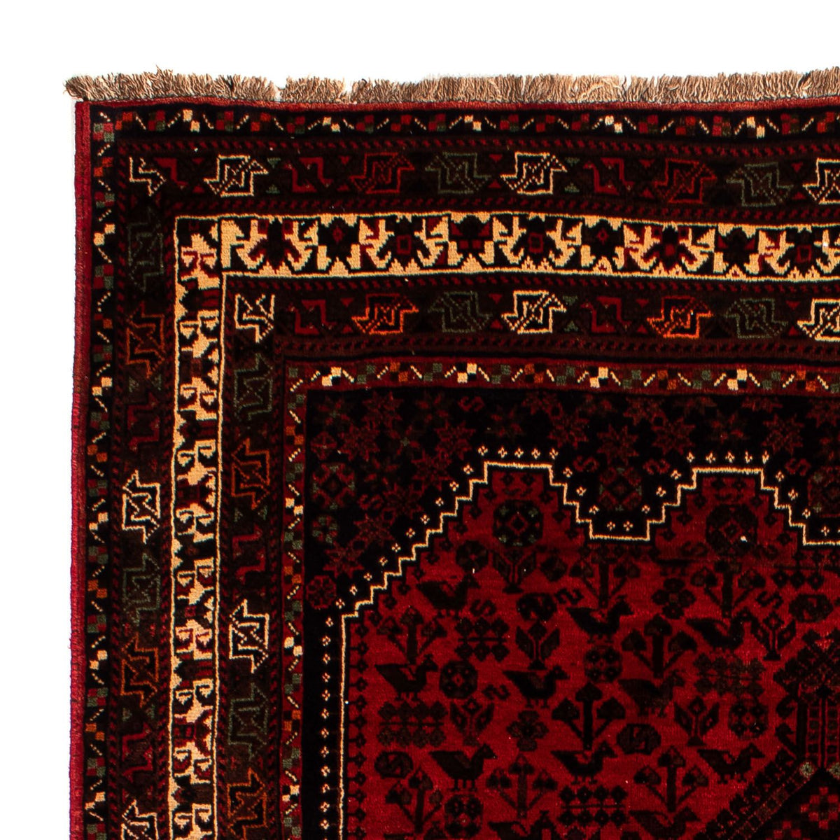 Tapis de Chiraz Tapis 200x295cm - Tapis persan