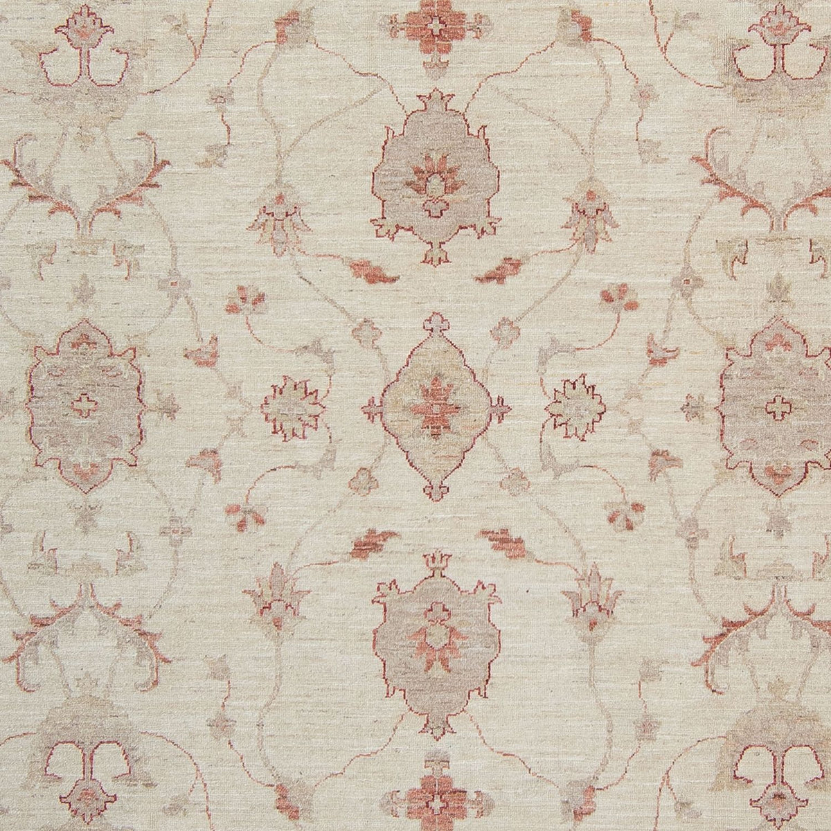 Tapis Ziegler - 340 x 250 cm - beige
