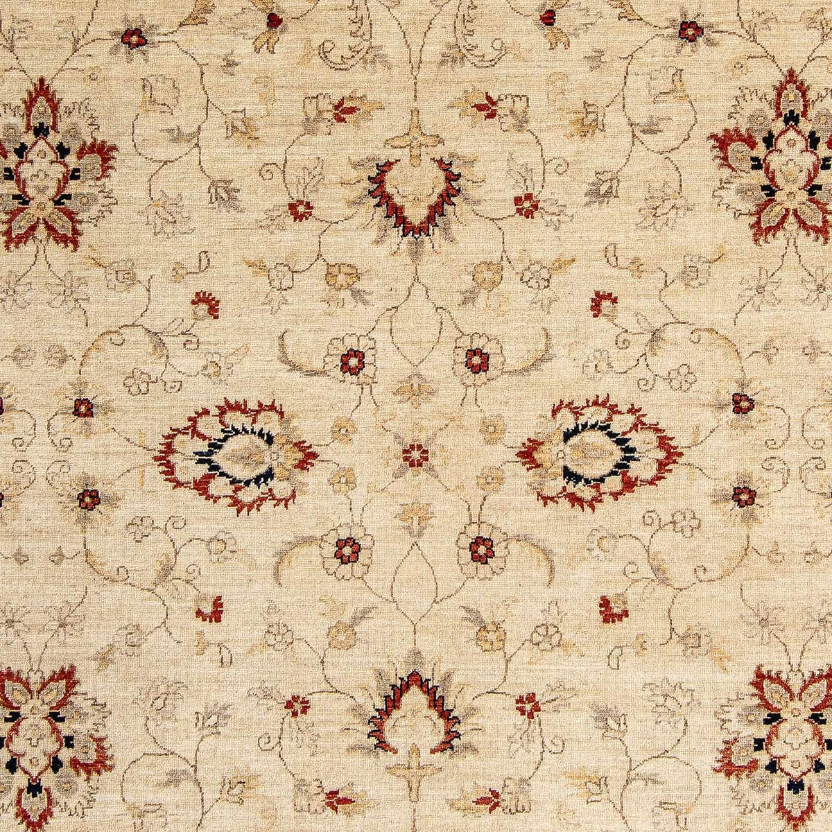 Tapis Ziegler - 297 x 246 cm - beige