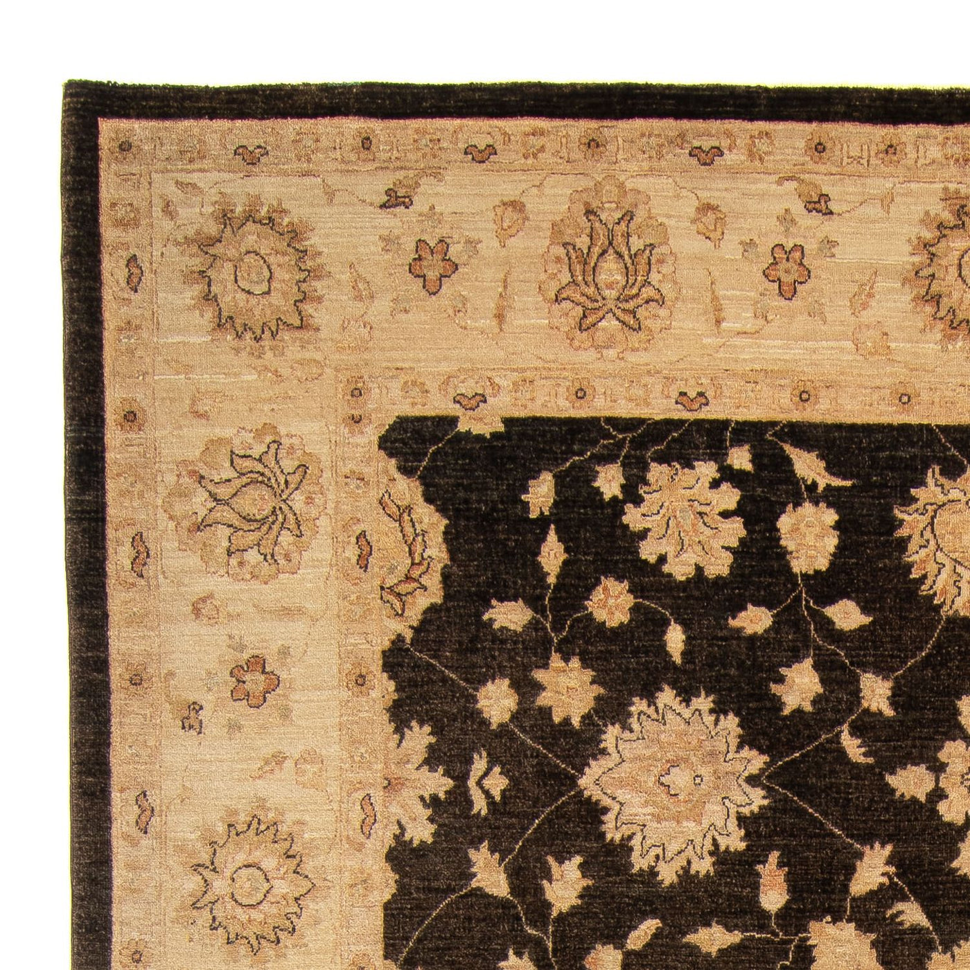 Tapis Ziegler 349x248cm - Tapis oriental