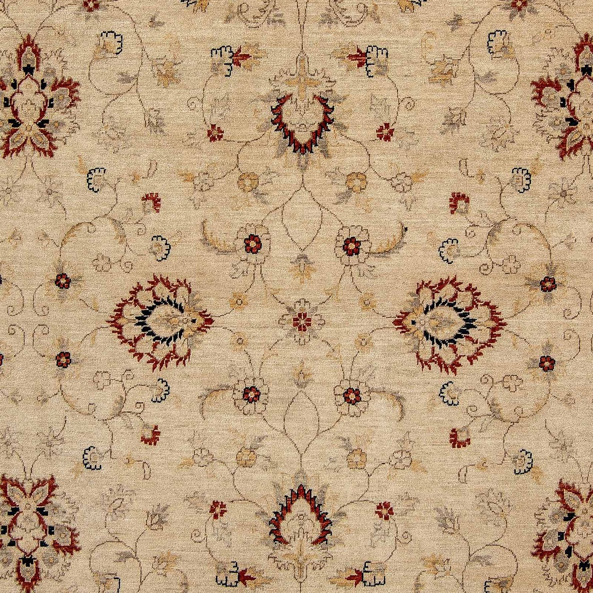 Tapis Ziegler - 301 x 249 cm - beige