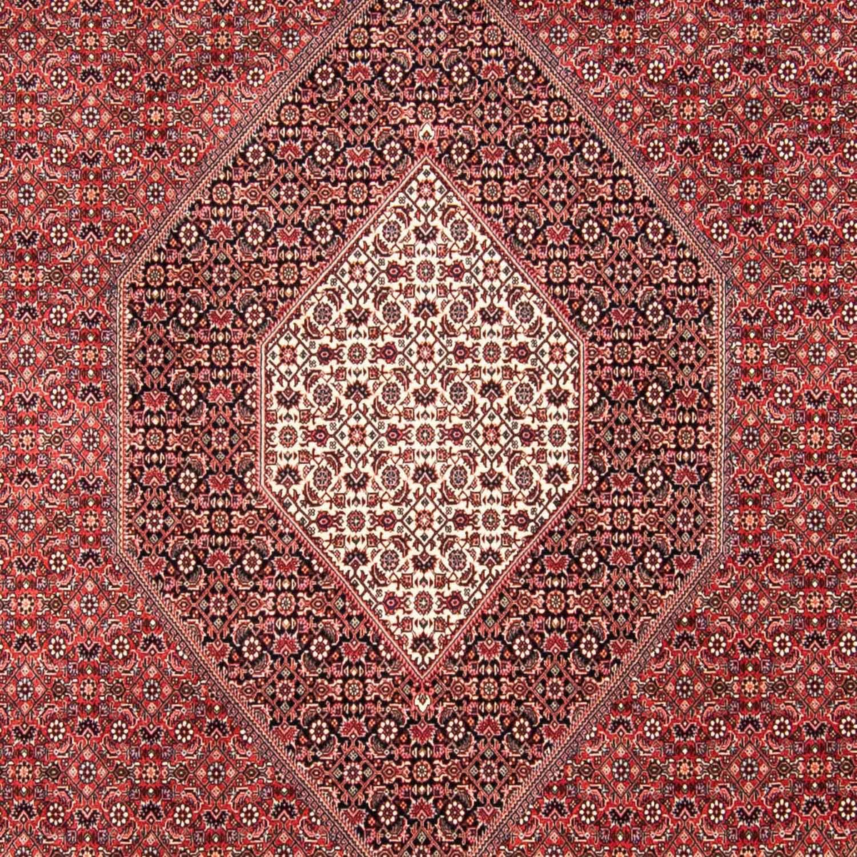 Tapis persan - Bidjar - 310 x 250 cm - rouge