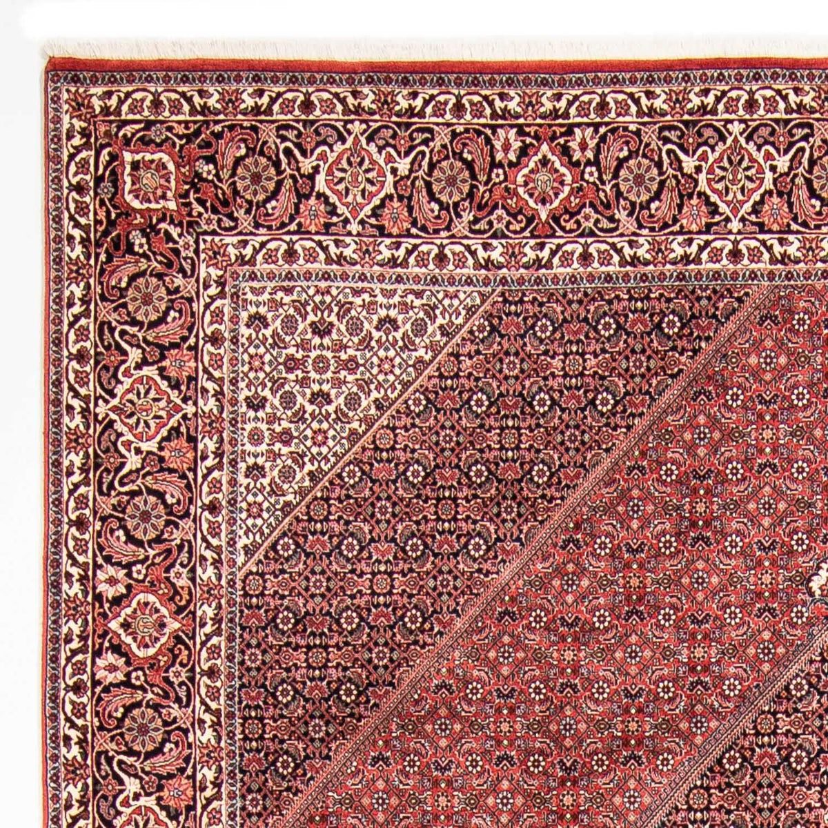 Tapis persan - Bidjar - 310 x 250 cm - rouge