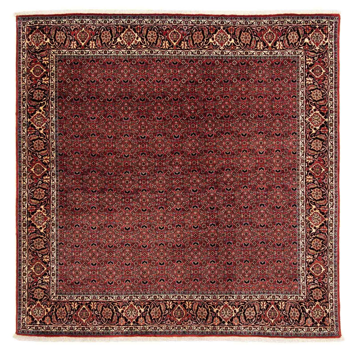 Tapis persan - Bidjar carré  - 200 x 197 cm - rouge foncé
