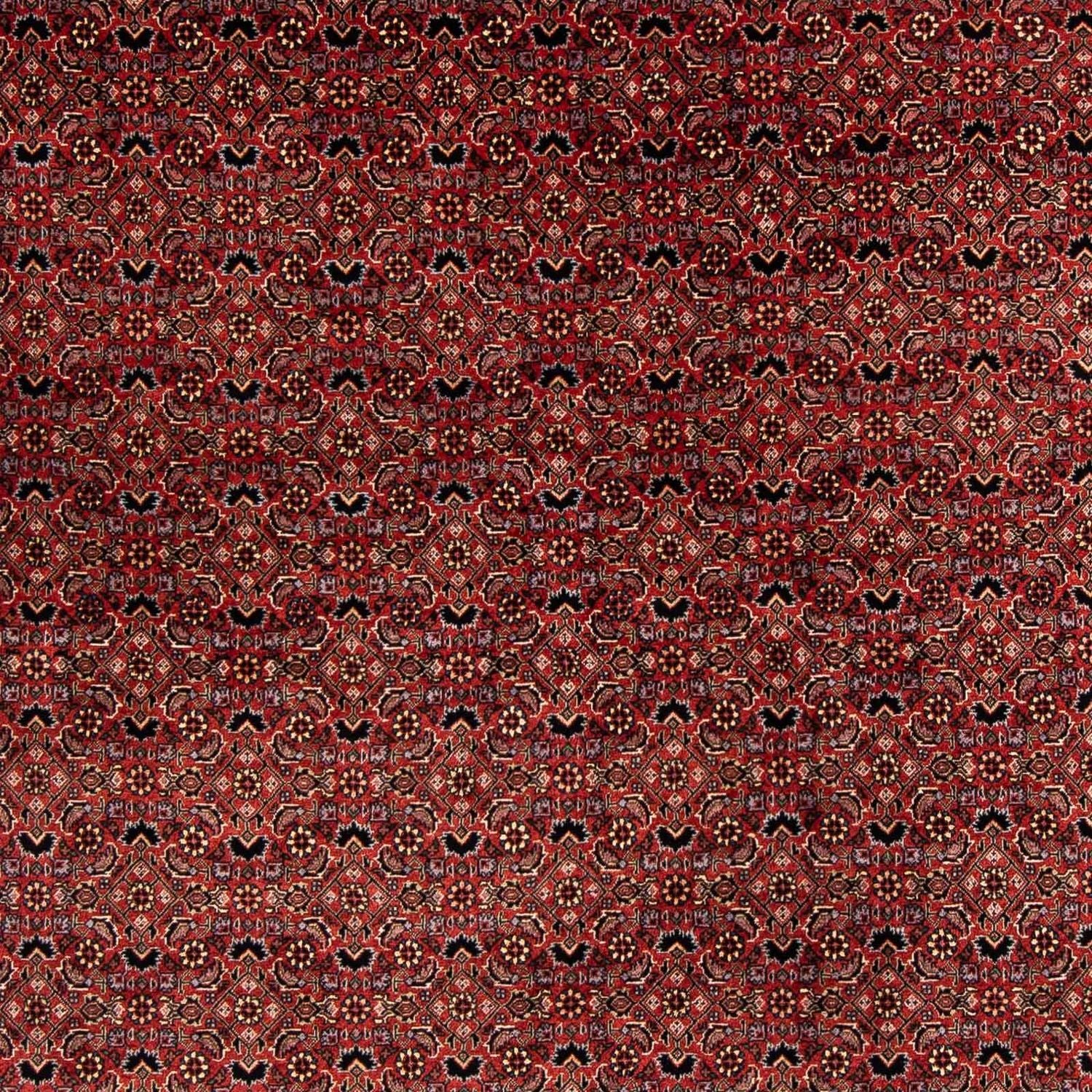 Tapis persan - Bidjar carré  - 200 x 197 cm - rouge foncé