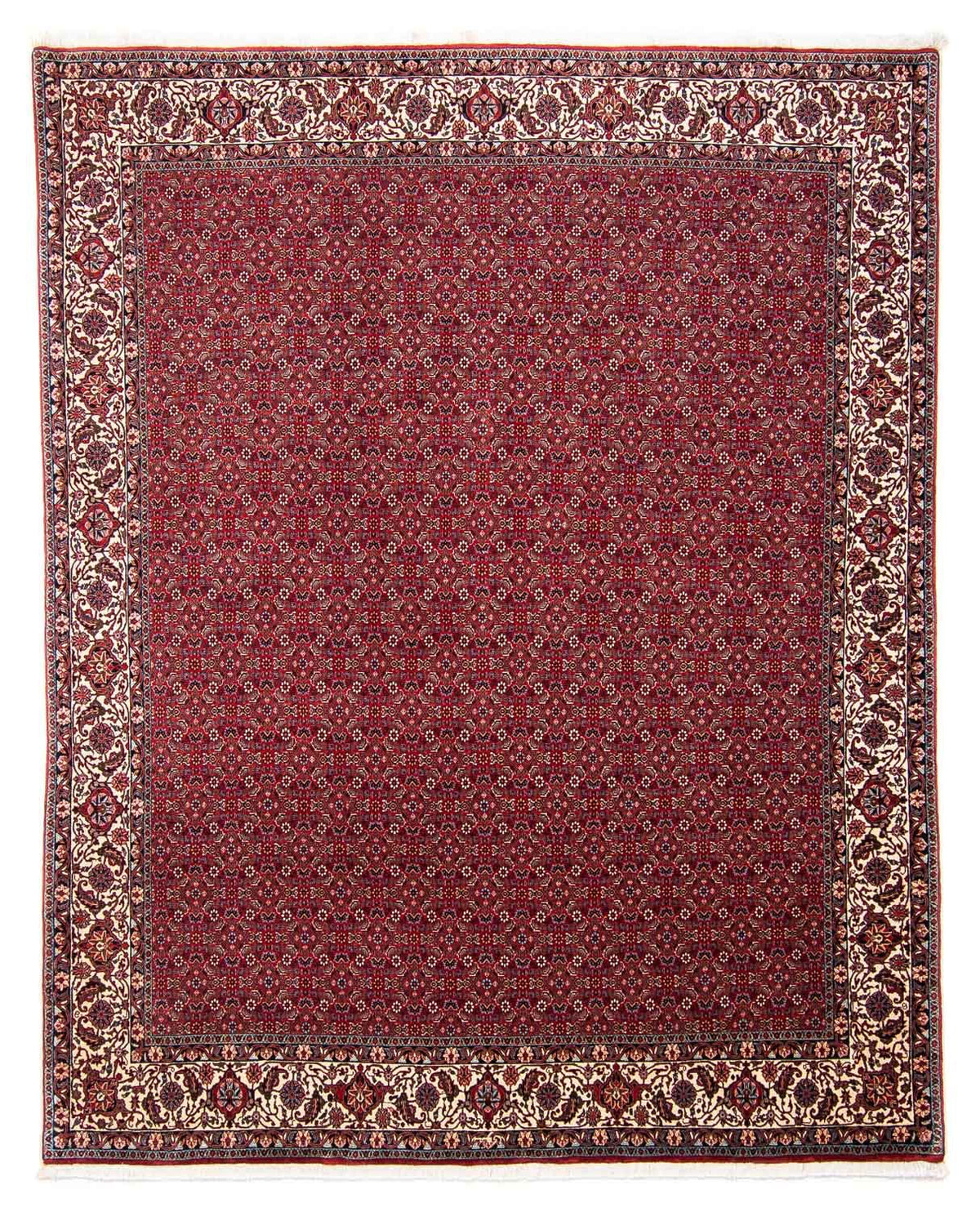 Tapis persan - Bidjar - 297 x 247 cm - rouge