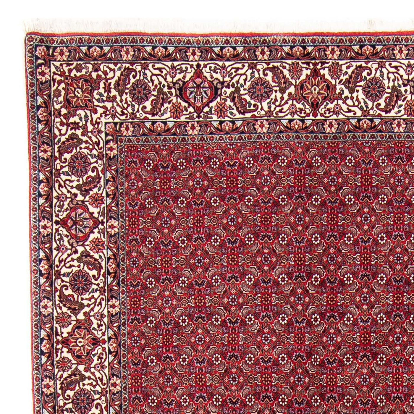Tapis de Bidjar Tapis 297x247cm - Tapis persan