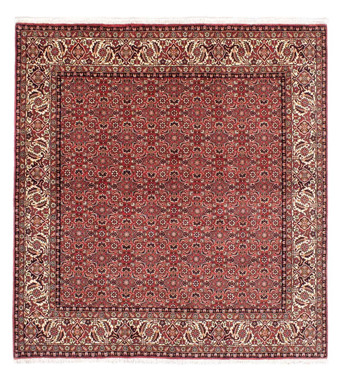 Tapis persan - Bidjar carré  - 208 x 200 cm - rouge clair