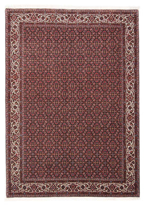Tapis persan - Bidjar - 245 x 176 cm - rouge clair