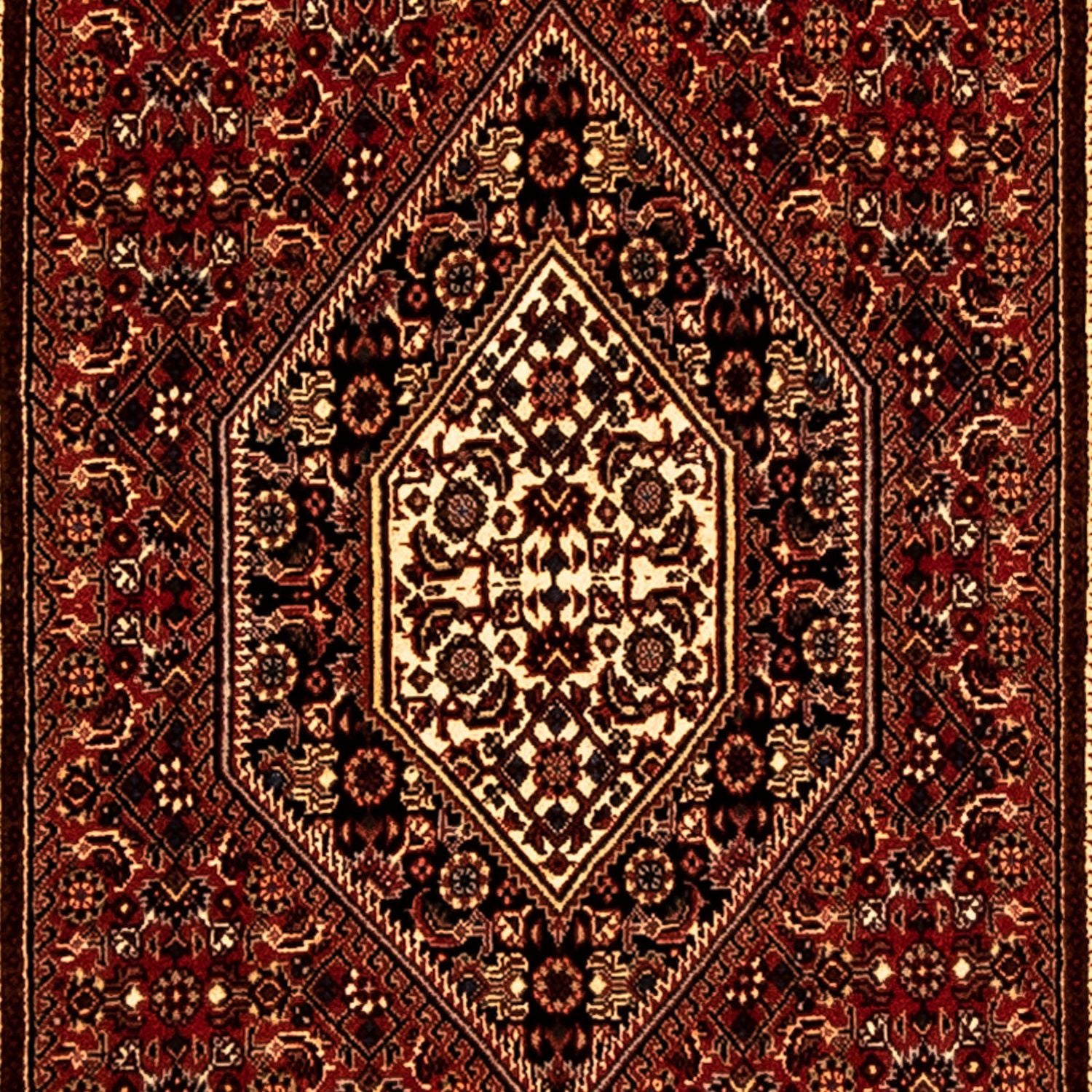 Tapis de couloir Tapis persan - Bidjar - 250 x 73 cm - multicolore