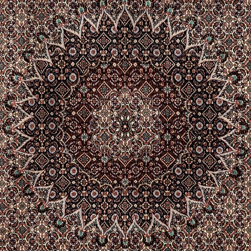 Tapis persan - Classique - 345 x 253 cm - beige