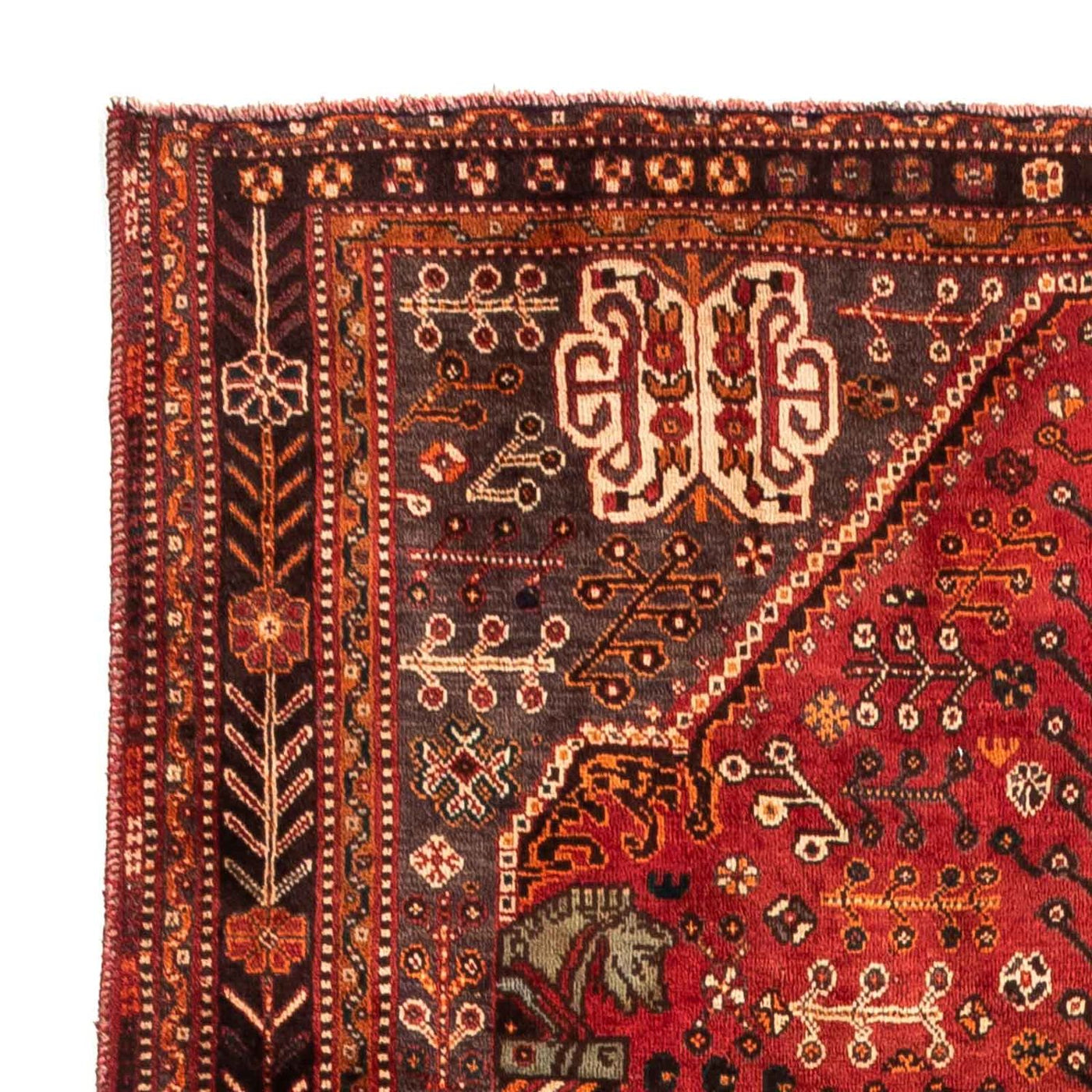 Tapis de Chiraz Tapis 253x160cm - Tapis persan