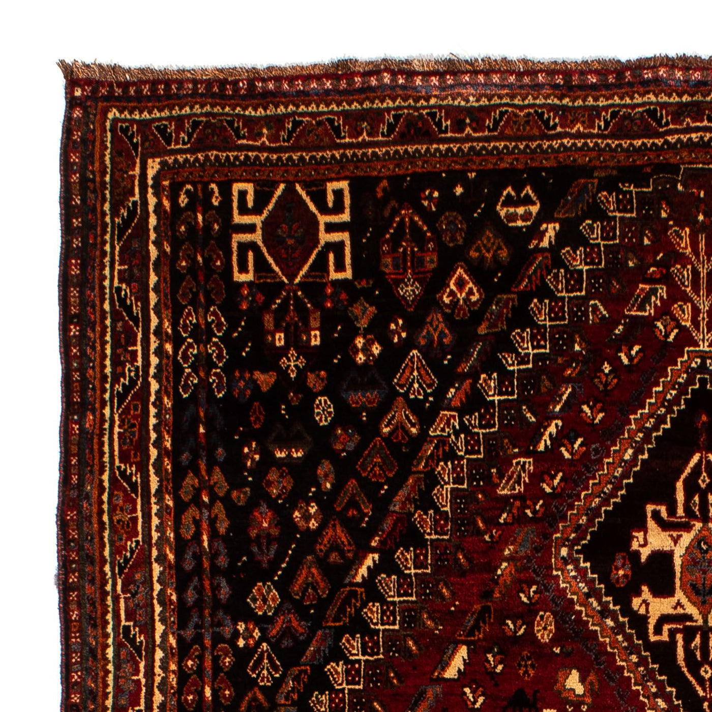 Tapis de Chiraz Tapis 266x187cm - Tapis persan