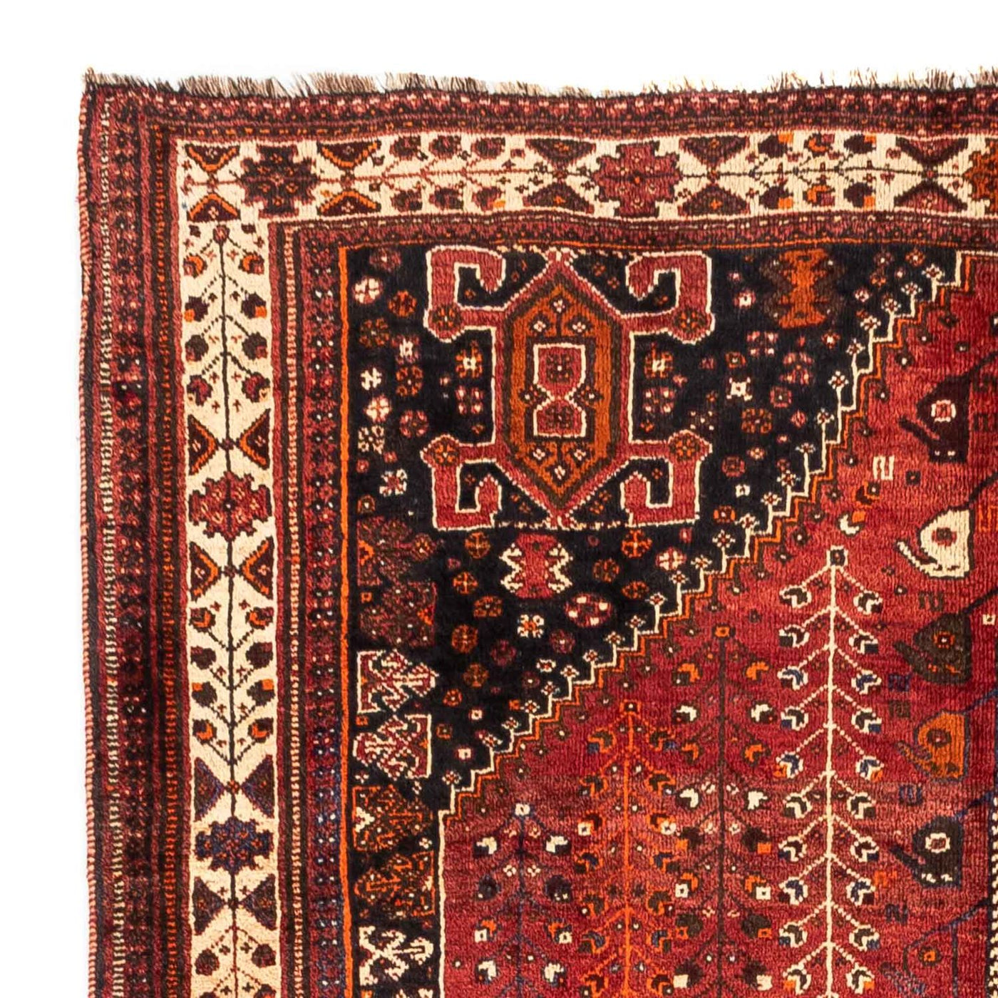 Tapis de Chiraz Tapis 258x163cm - Tapis persan