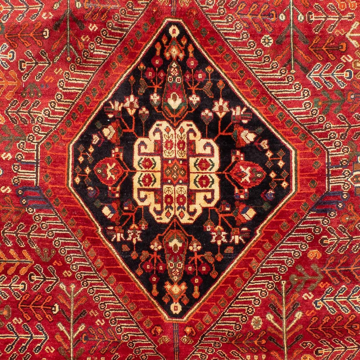 Tapis persan - Nomadic - 270 x 190 cm - rouge
