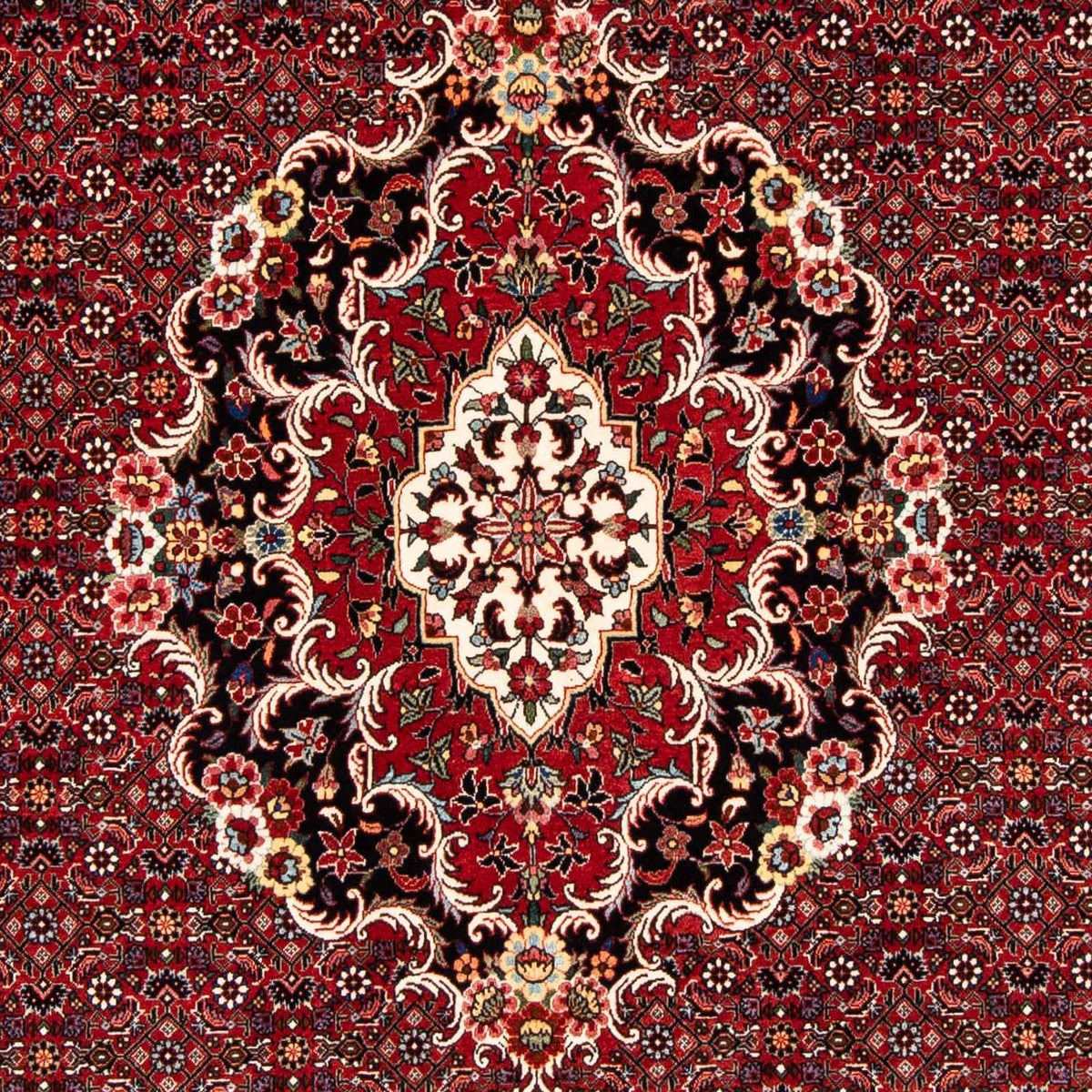 Tapis persan - Bidjar - 229 x 172 cm - rouge foncé
