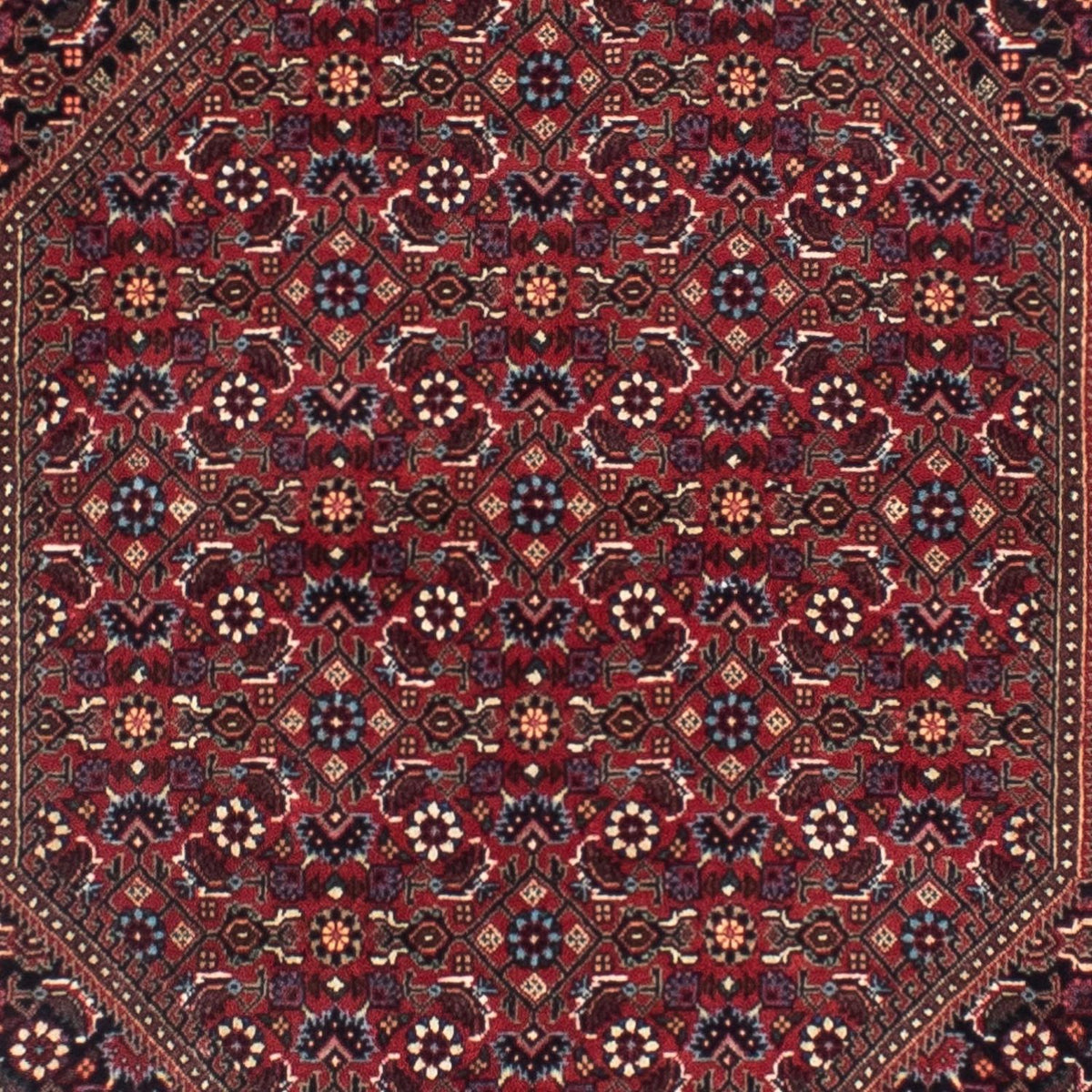 Tapis de couloir Tapis persan - Bidjar - 306 x 85 cm - rouille