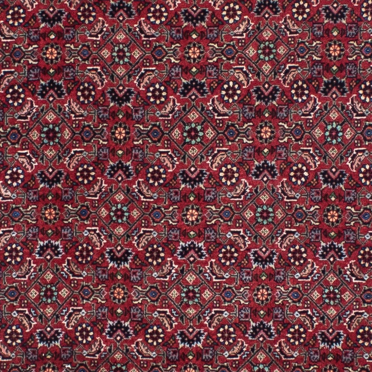 Tapis de couloir Tapis persan - Bidjar - 295 x 84 cm - rouge foncé