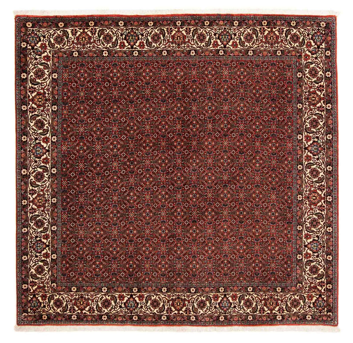 Tapis persan - Bidjar carré  - 203 x 197 cm - rouge foncé