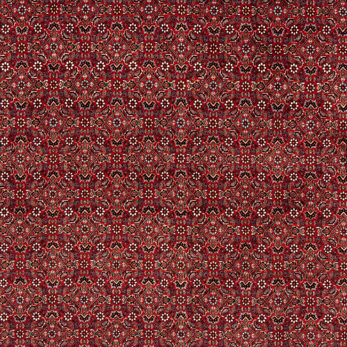 Tapis persan - Bidjar carré  - 205 x 205 cm - rouge foncé