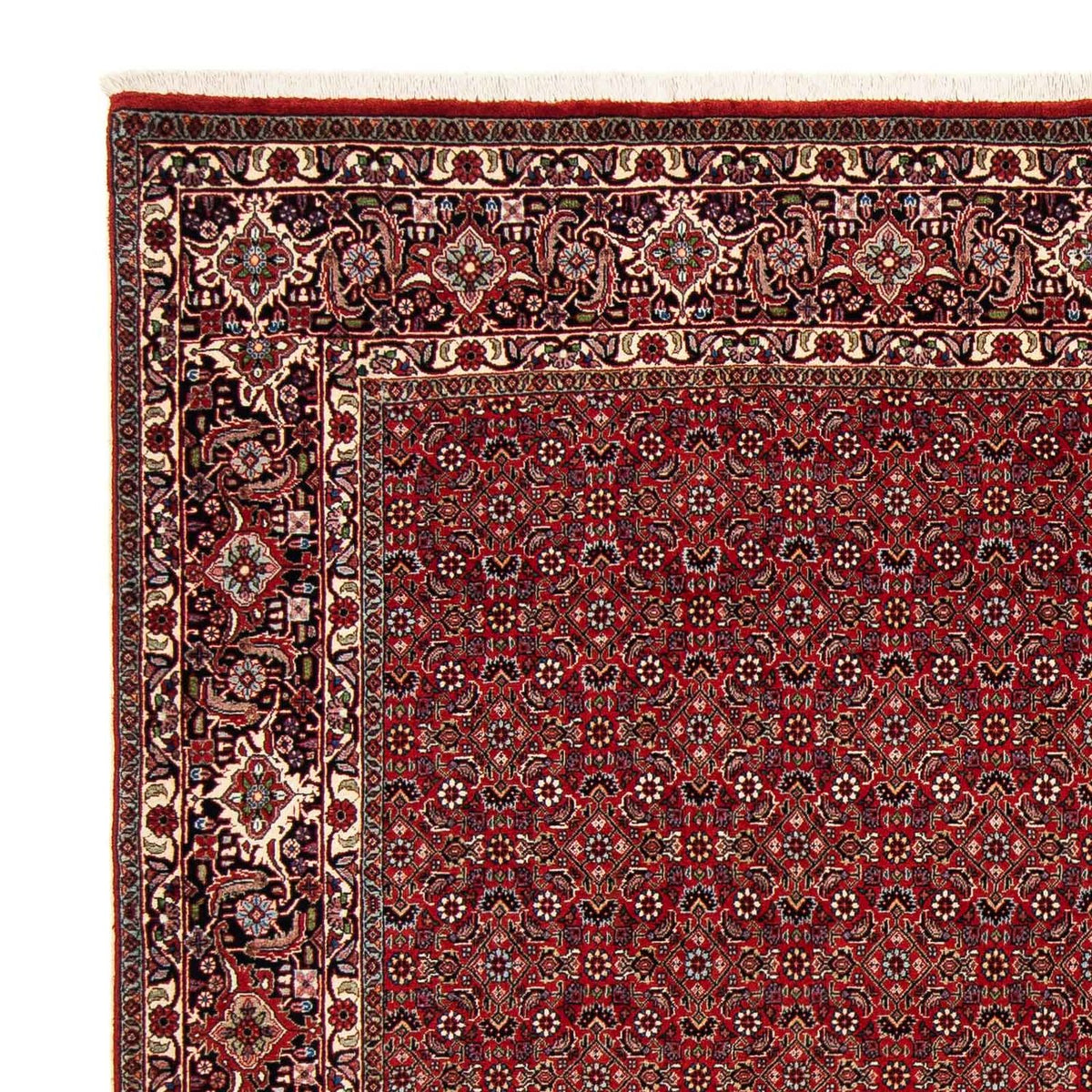 Tapis persan - Bidjar carré  - 205 x 205 cm - rouge foncé