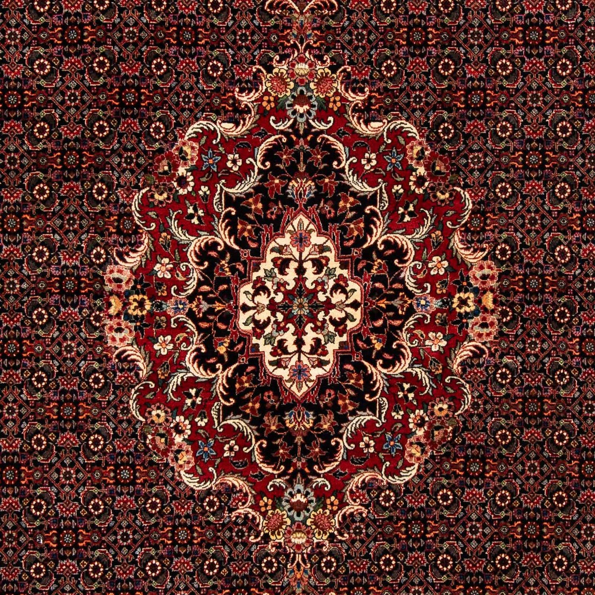 Tapis persan - Bidjar - 252 x 200 cm - rouge foncé