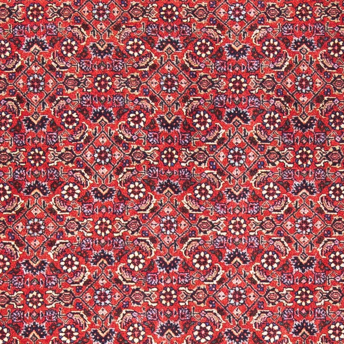 Tapis persan - Bidjar - 170 x 88 cm - rouge