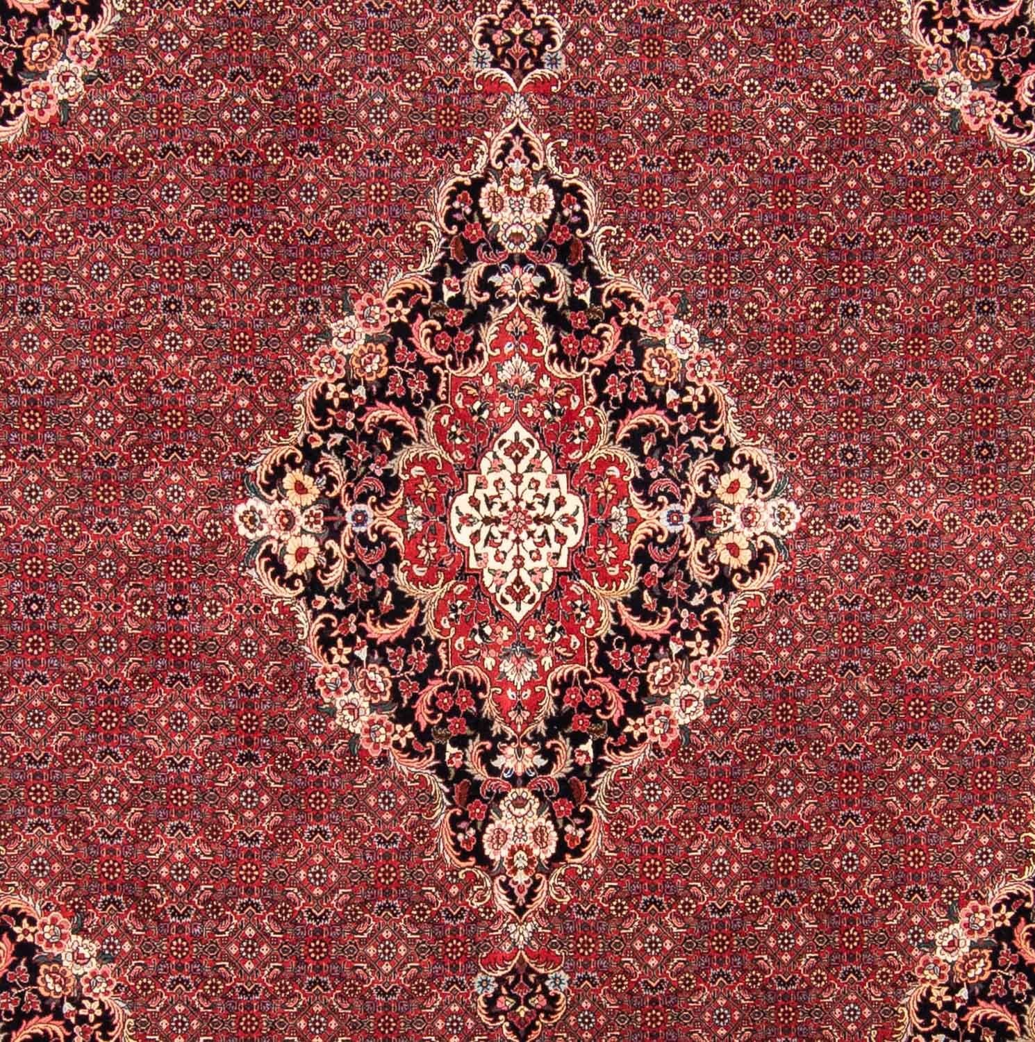 Tapis persan - Bidjar carré  - 253 x 253 cm - rouge foncé
