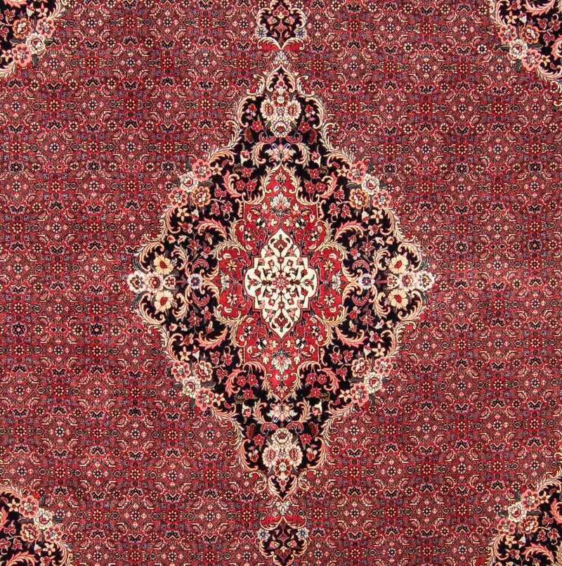 Tapis persan - Bidjar carré  - 253 x 253 cm - rouge foncé