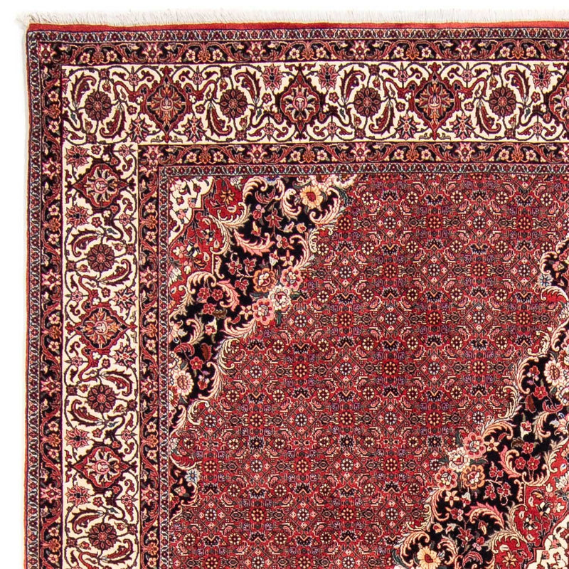 Tapis persan - Bidjar carré  - 253 x 253 cm - rouge foncé