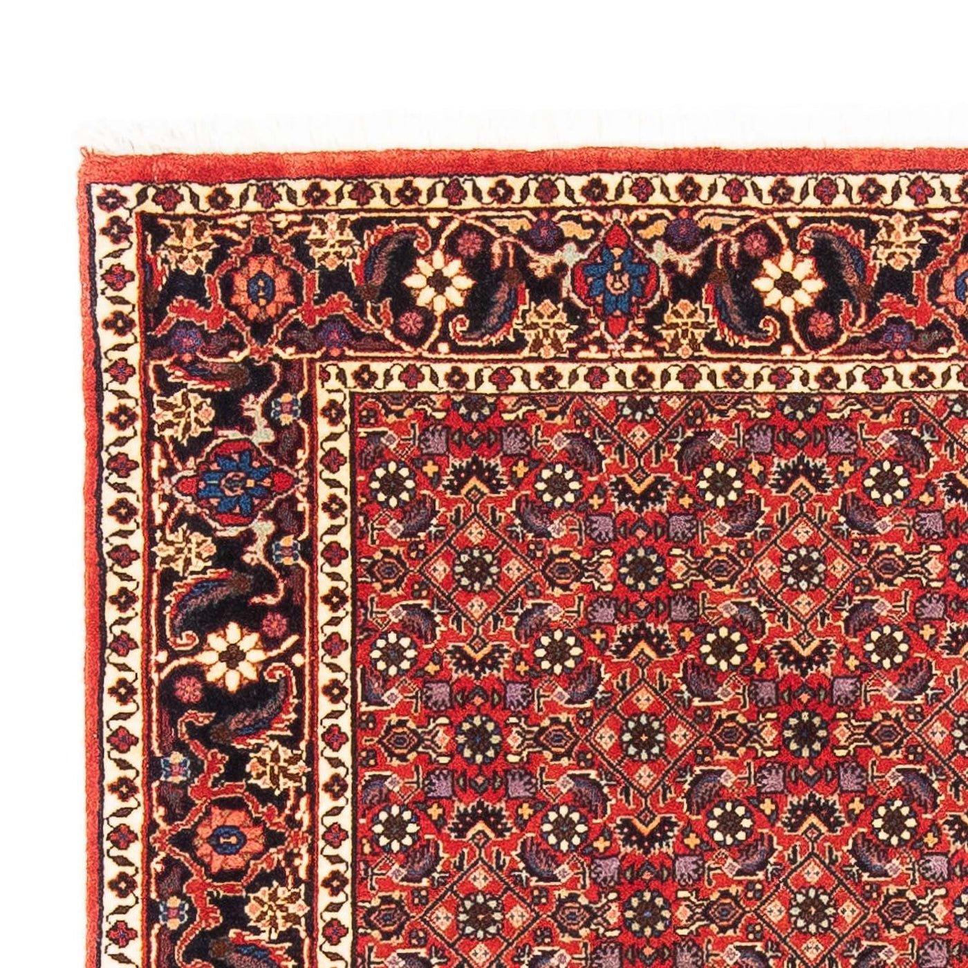 Tapis de Bidjar Tapis 183x114cm - Tapis persan