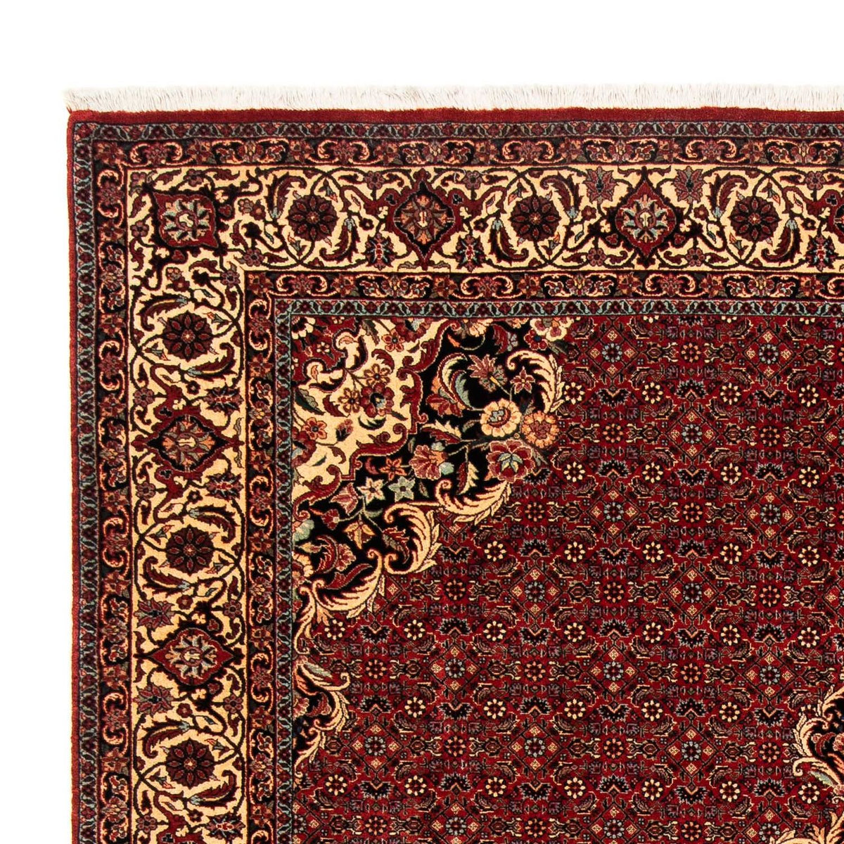 Tapis persan - Bidjar - 272 x 204 cm - rouge foncé