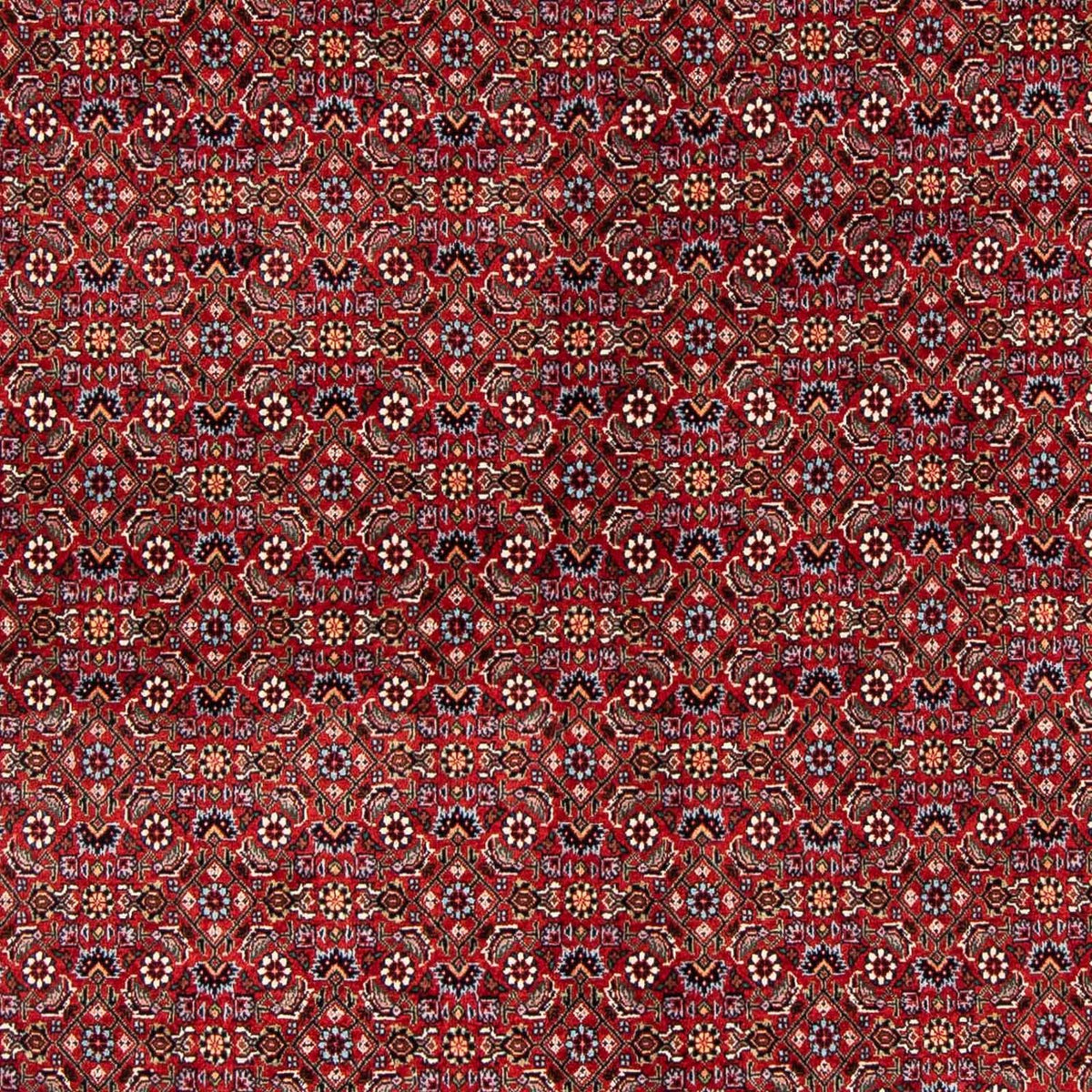 Tapis persan - Bidjar - 231 x 170 cm - rouge foncé