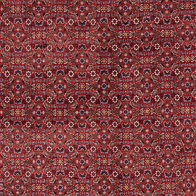 Tapis persan - Bidjar - 231 x 170 cm - rouge foncé