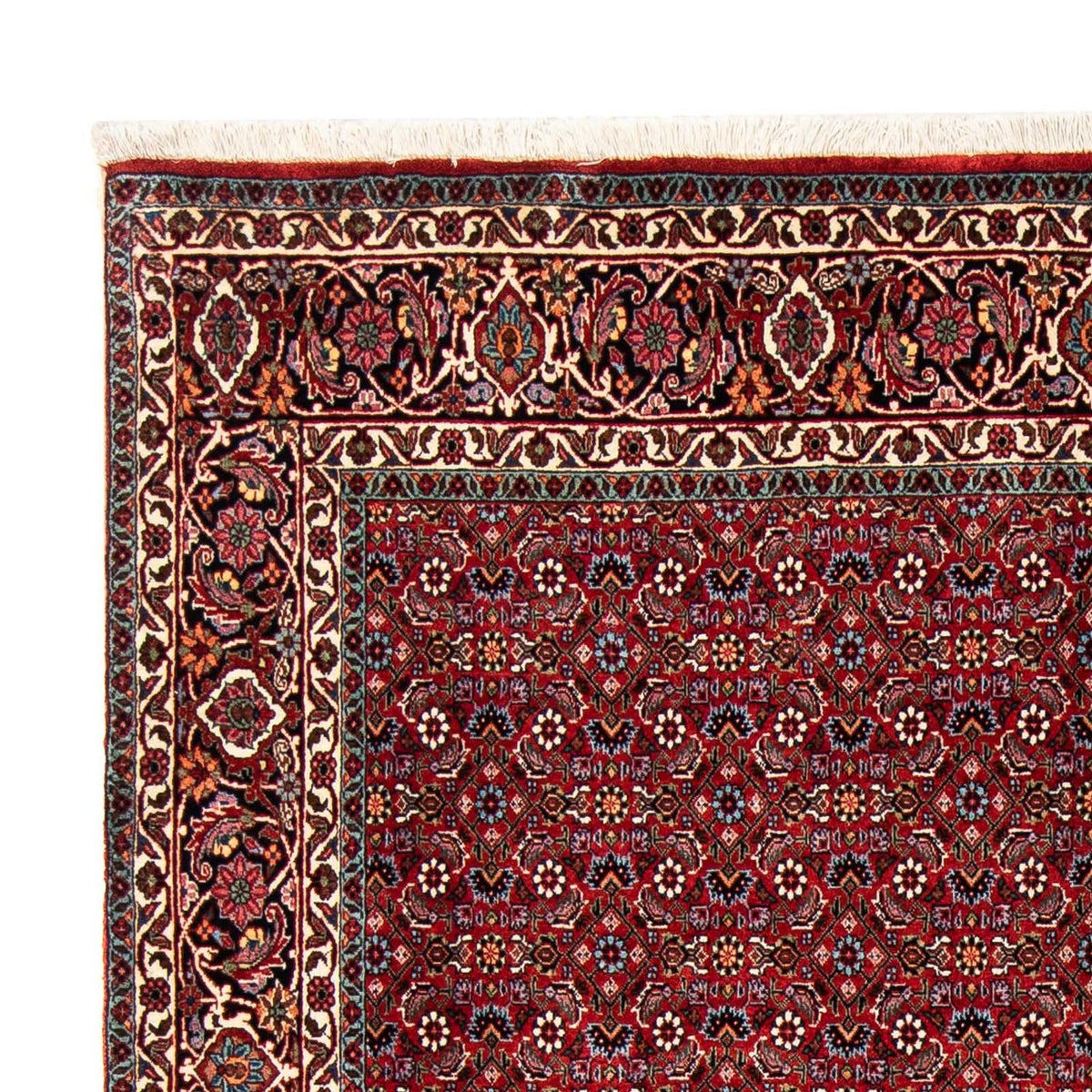 Tapis persan - Bidjar - 231 x 170 cm - rouge foncé