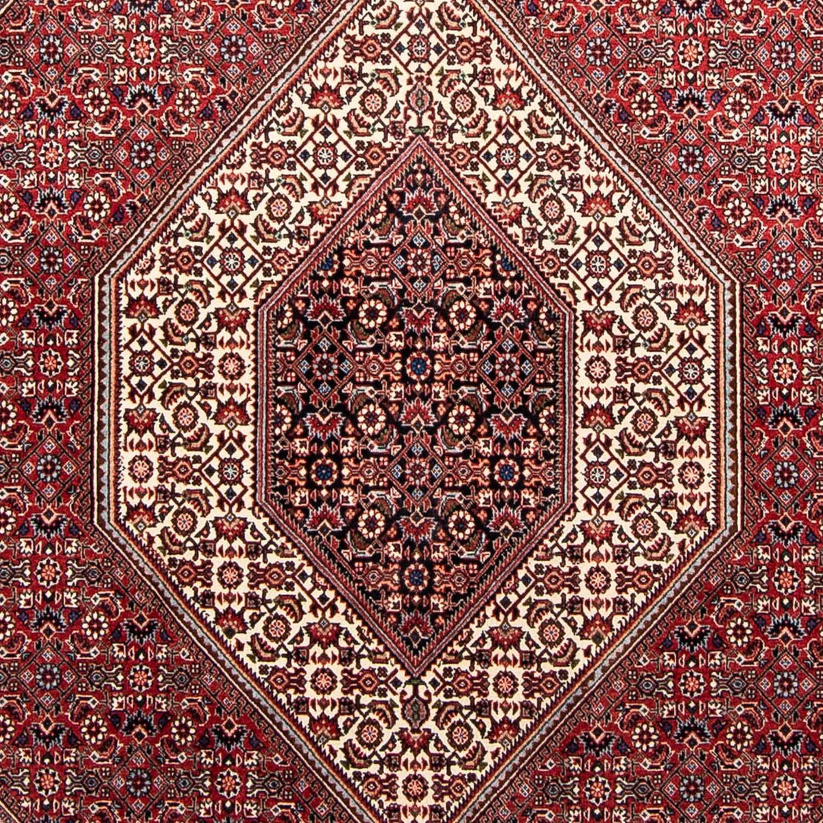 Tapis persan - Bidjar - 232 x 170 cm - rouge