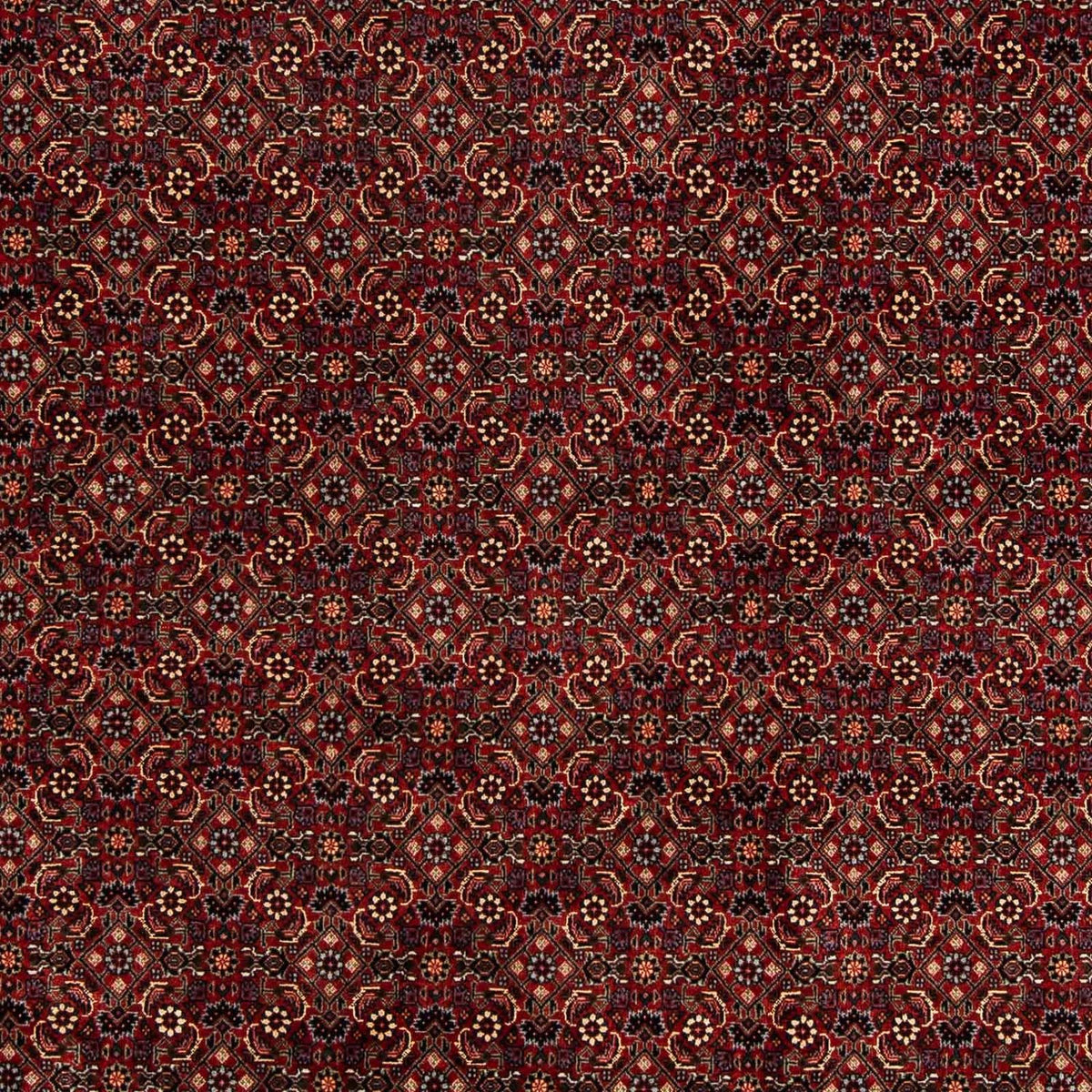 Tapis persan - Bidjar - 254 x 198 cm - rouge foncé