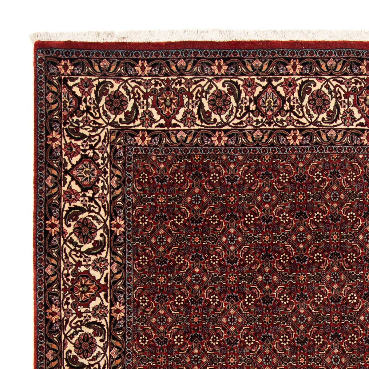 Tapis persan - Bidjar - 254 x 198 cm - rouge foncé