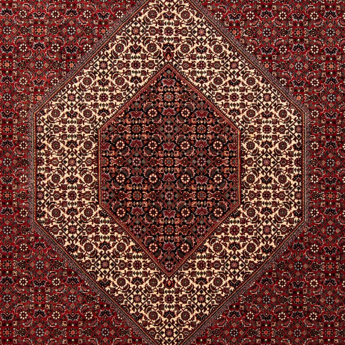 Tapis persan - Bidjar - 253 x 202 cm - rouge foncé