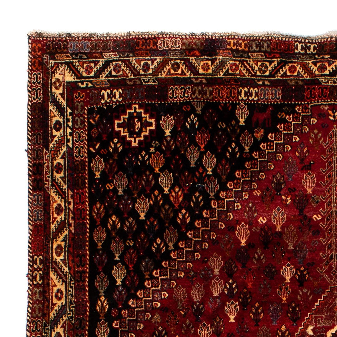 Tapis de Chiraz Tapis 315x216cm - Tapis persan